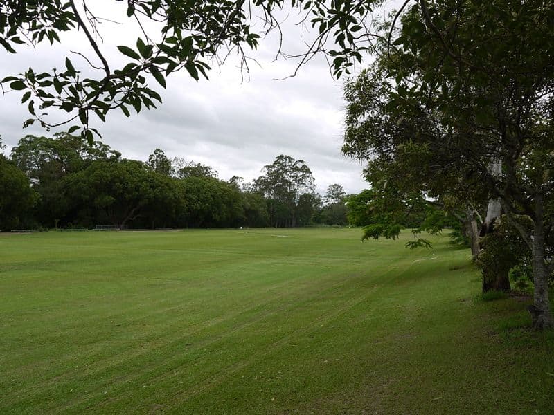 44 Grevillea Road, Ashgrove QLD 4060, Ashgrove - Thumbnail 4