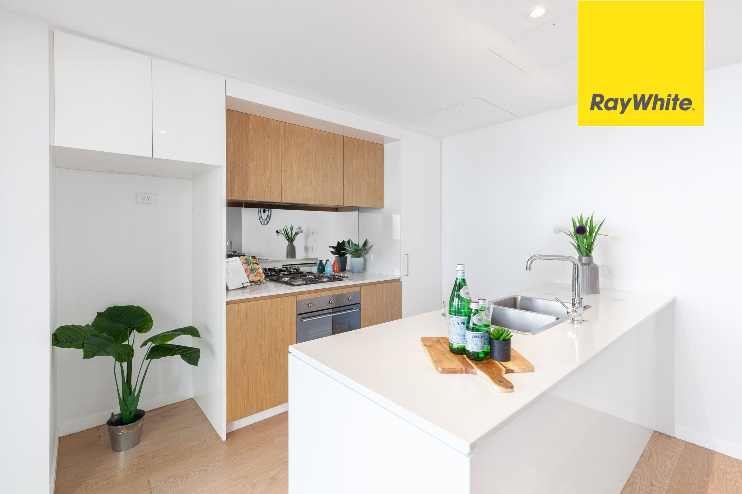 8 Saunders Close, Macquarie Park NSW 2113, Macquarie Park - Thumbnail 3