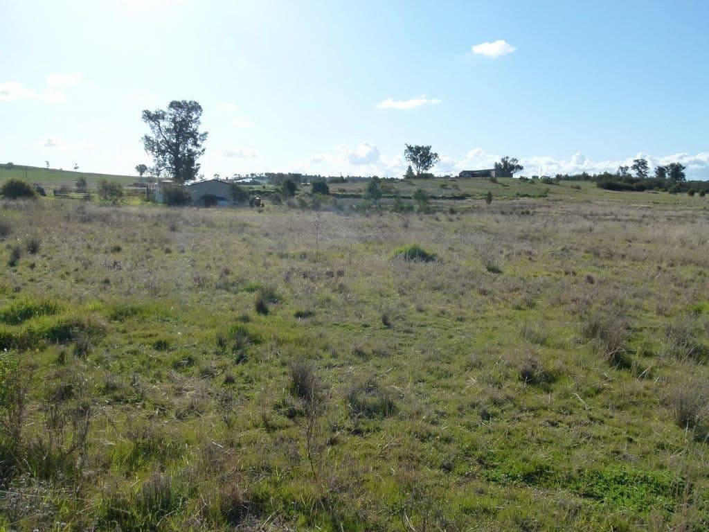 8 Alcheringa Drive, Forbes NSW 2871, Forbes - Thumbnail 4