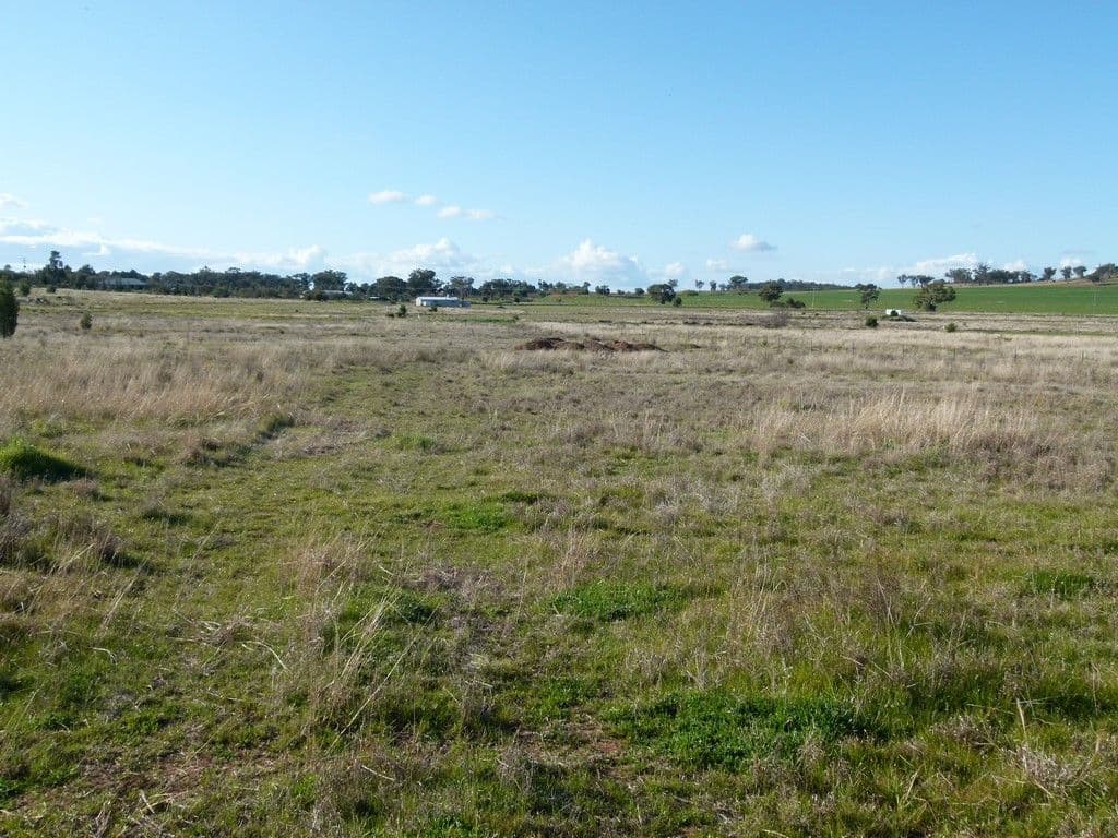 8 Alcheringa Drive, Forbes NSW 2871, Forbes - Thumbnail 5