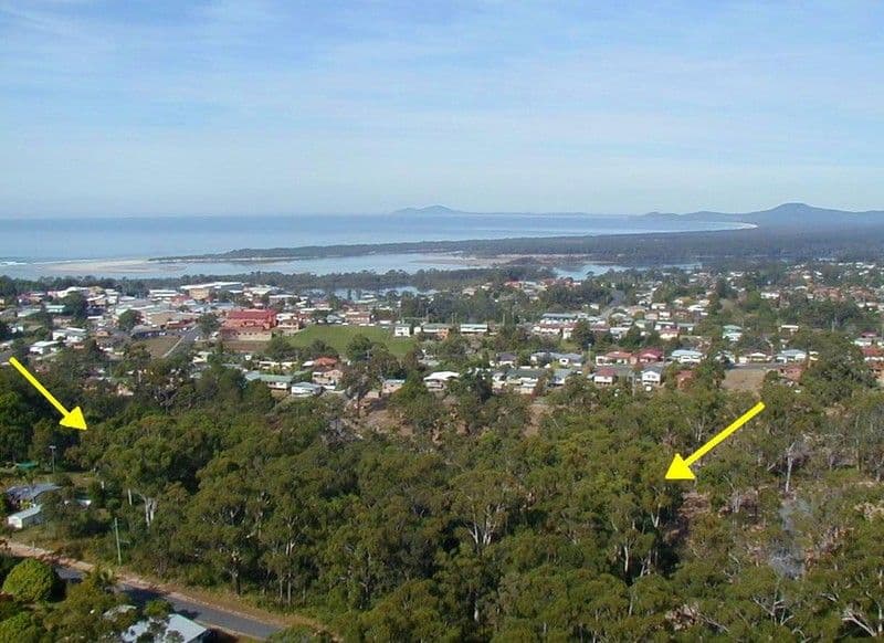 Lot 135 Forest Road, NAMBUCCA HEADS NSW 2448, Nambucca Heads - Thumbnail 2