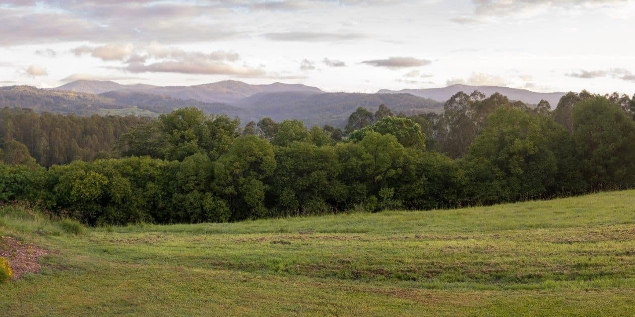 583 Koonorigan Road, The Channon NSW 2480, The Channon - Thumbnail 5