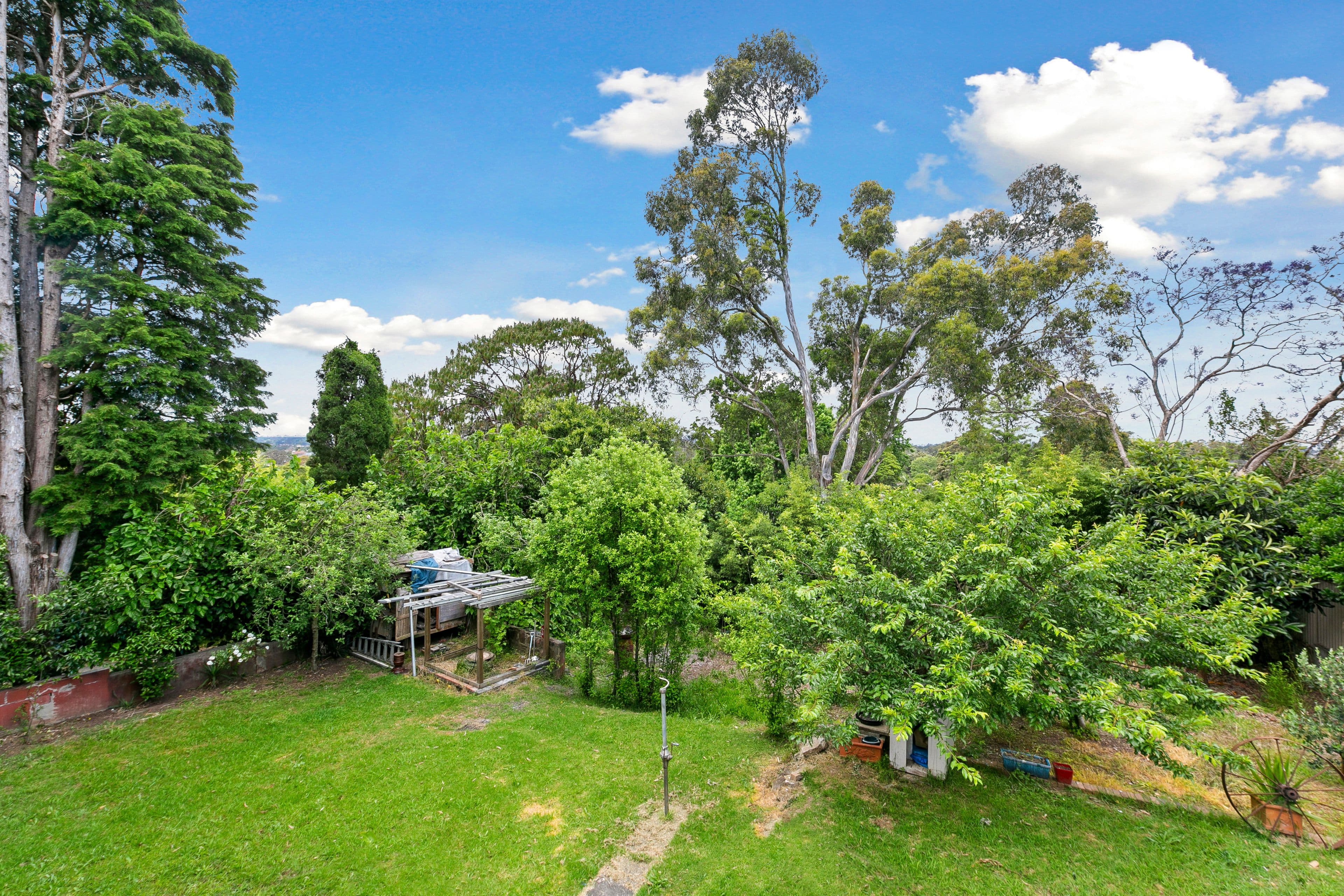 381 Old Northern Road, Castle Hill NSW 2154, Castle Hill - Thumbnail 6