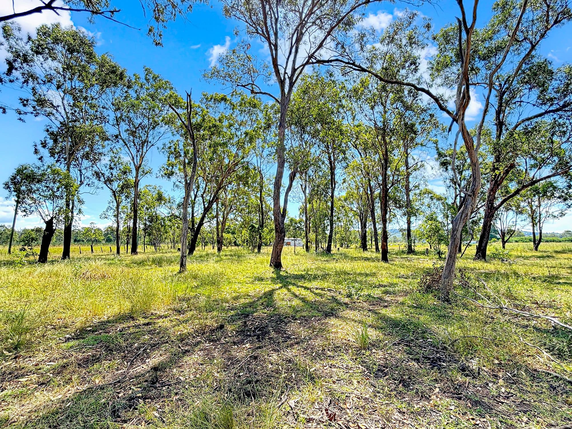 4-16 Byrne Road, Thagoona QLD 4306, Thagoona - Thumbnail 7