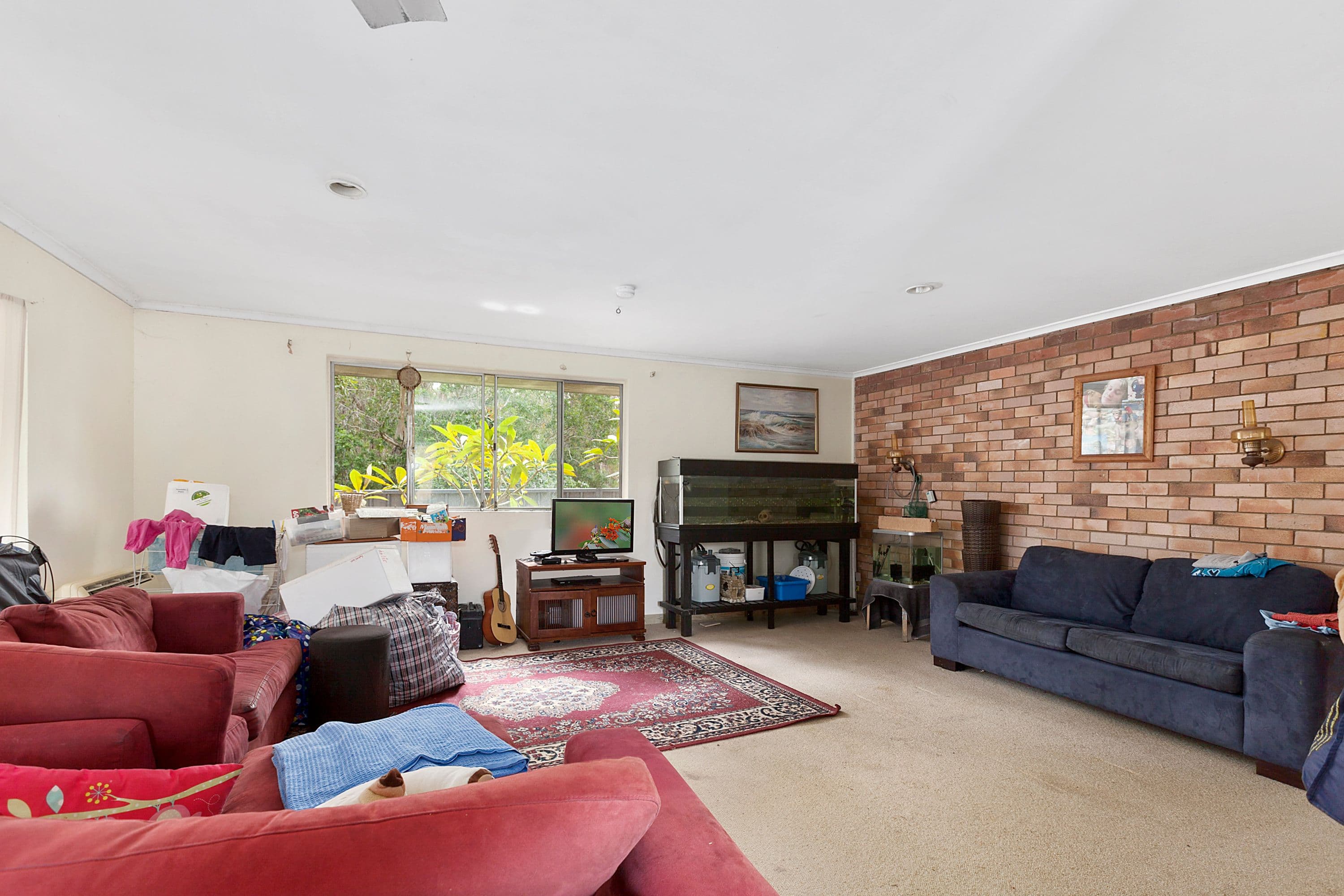 8 Ashford Street, Tewantin QLD 4565, Tewantin - Thumbnail 3