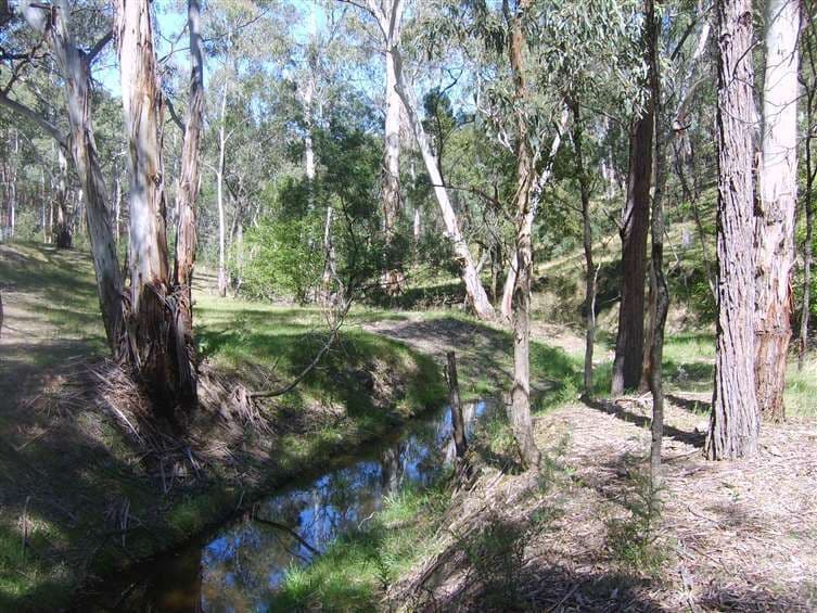 Lot 204 Morris Place, LITTLE HARTLEY NSW 2790, Little Hartley - Thumbnail 2