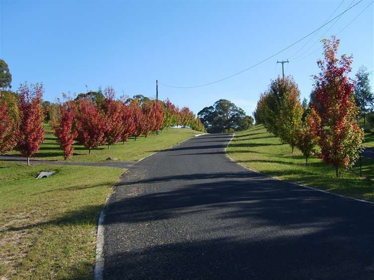 Lot 204 Morris Place, LITTLE HARTLEY NSW 2790, Little Hartley - Thumbnail 5
