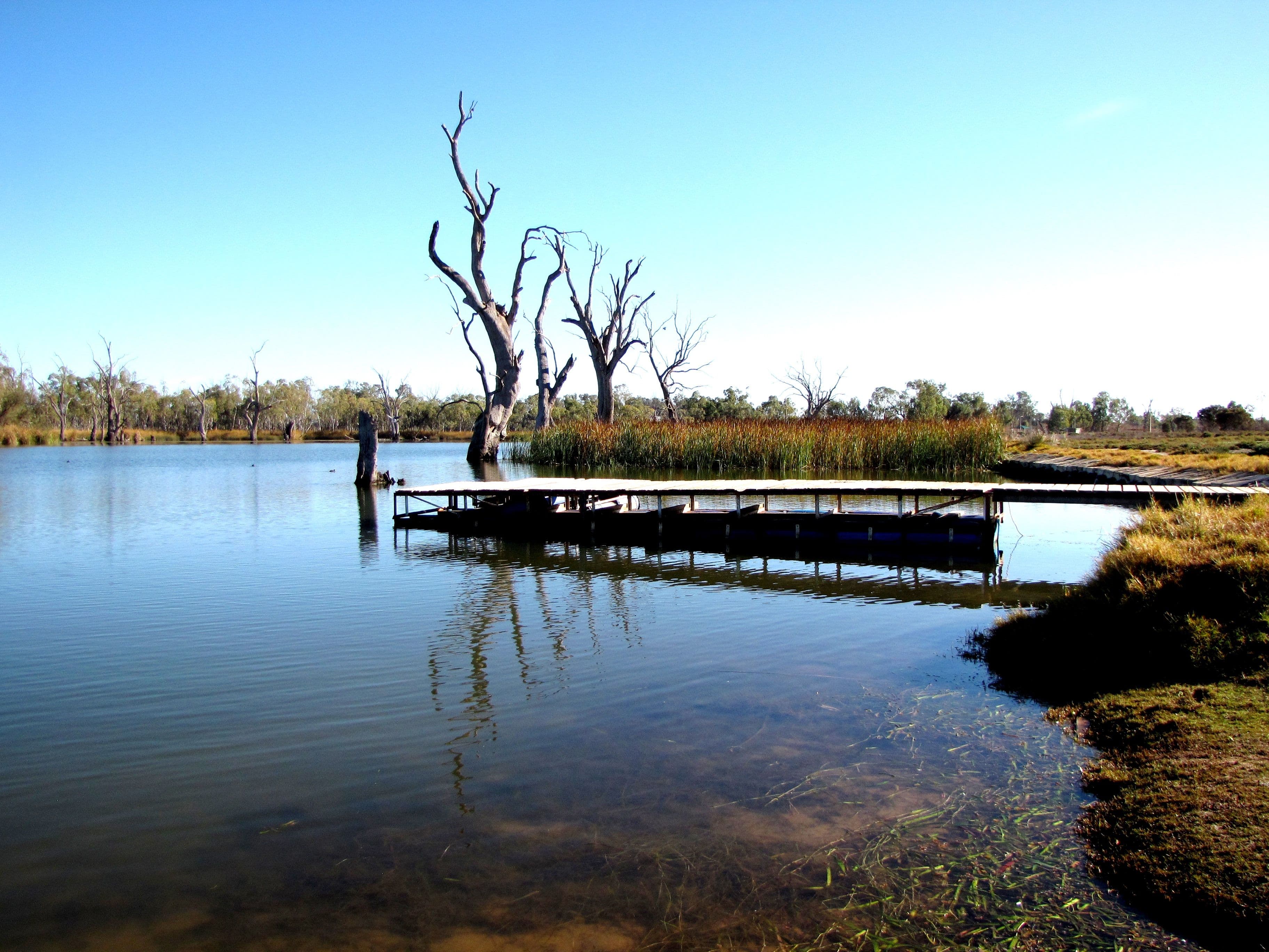 Unit 19A Cobdogla Station Caravan Park, Cobdogla SA 5346, Cobdogla - Thumbnail 8