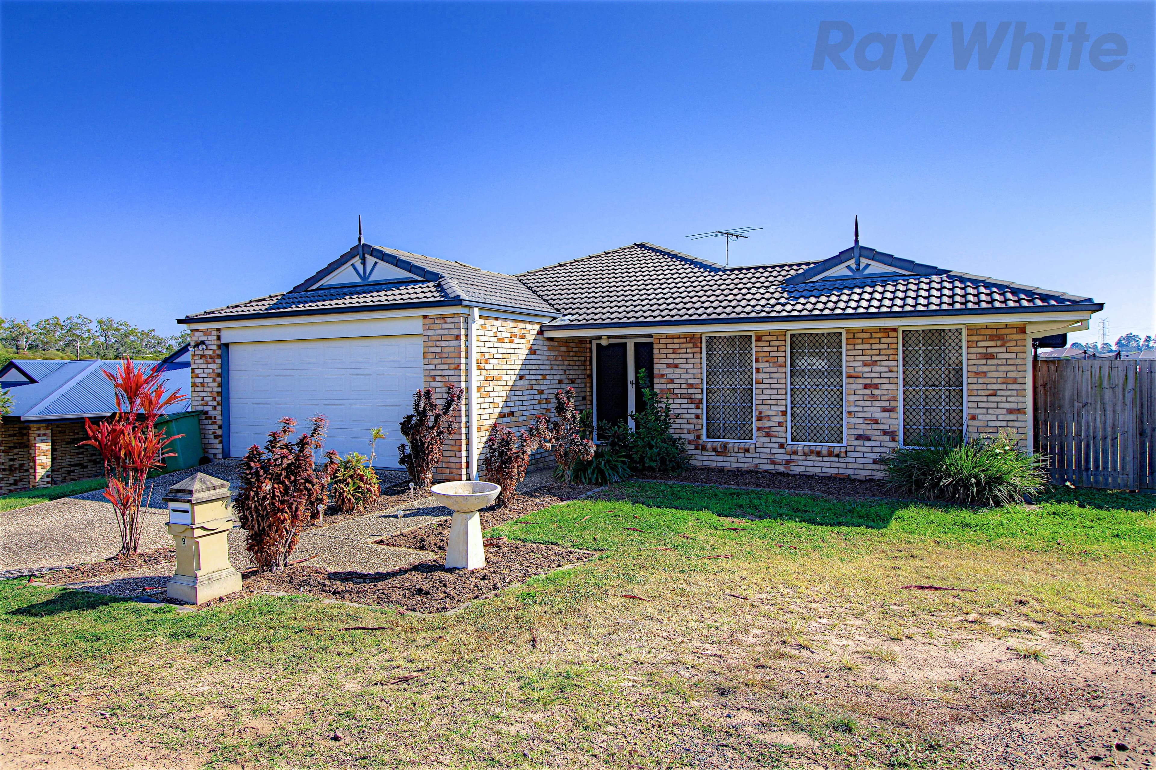 9 Casement Court, Collingwood Park QLD 4301, Collingwood Park - Image 1