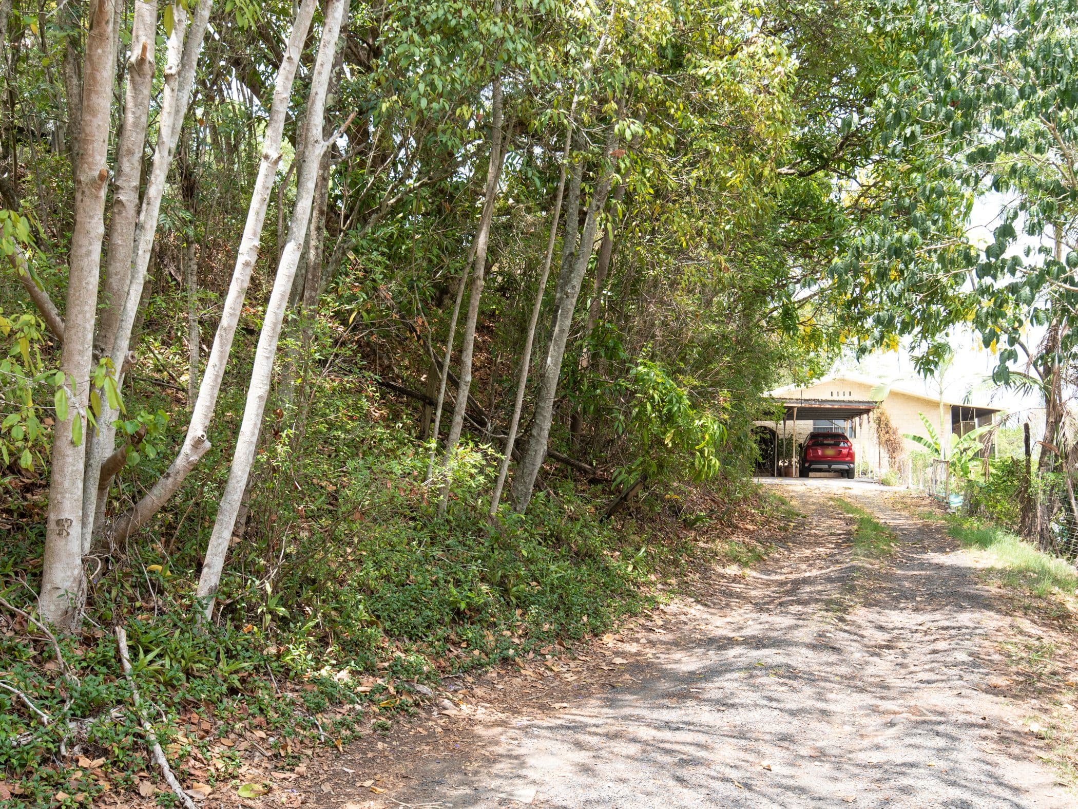 112 New Ballina Road, Lismore Heights - Thumbnail 3