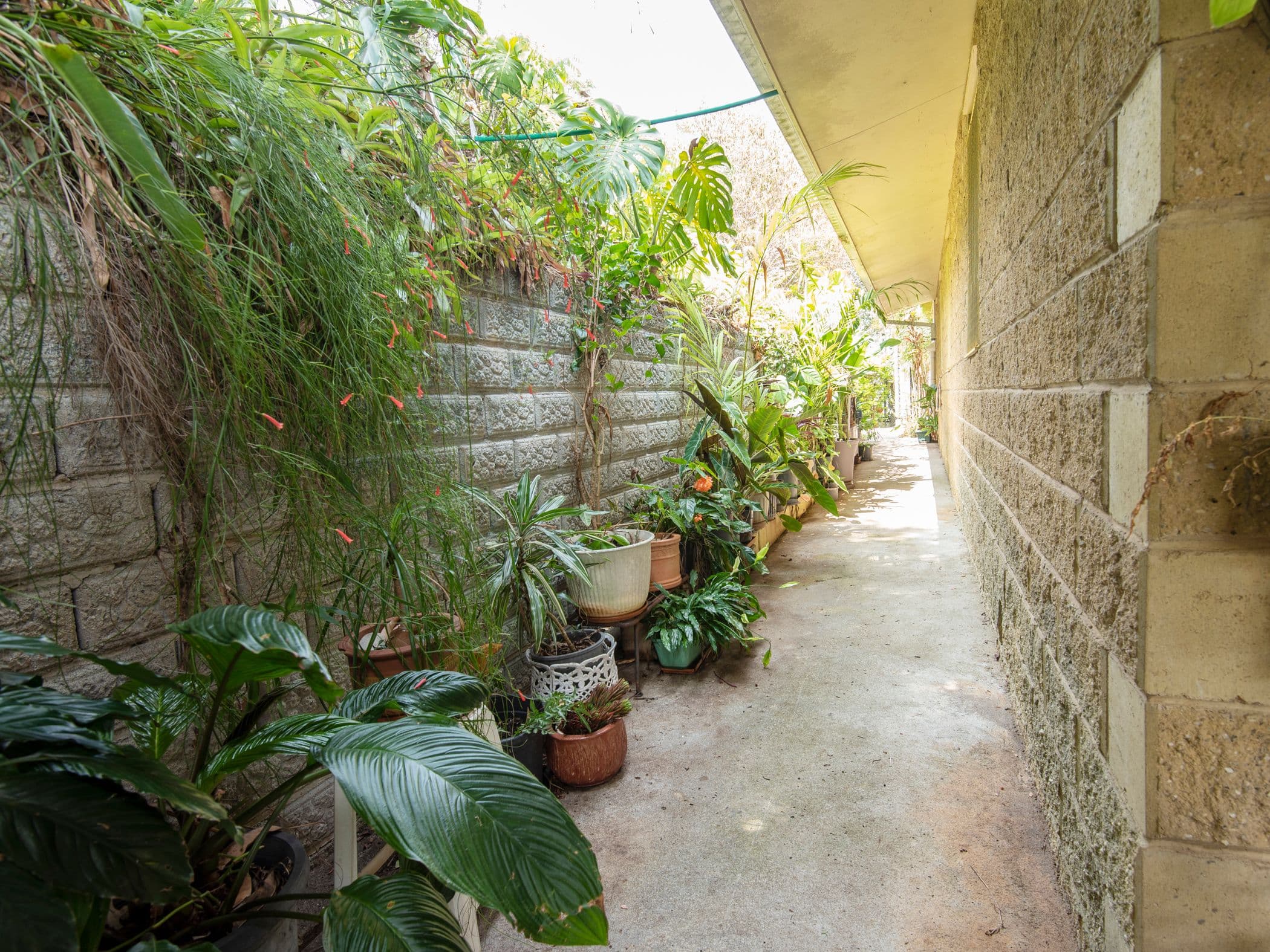 112 New Ballina Road, Lismore Heights - Thumbnail 8