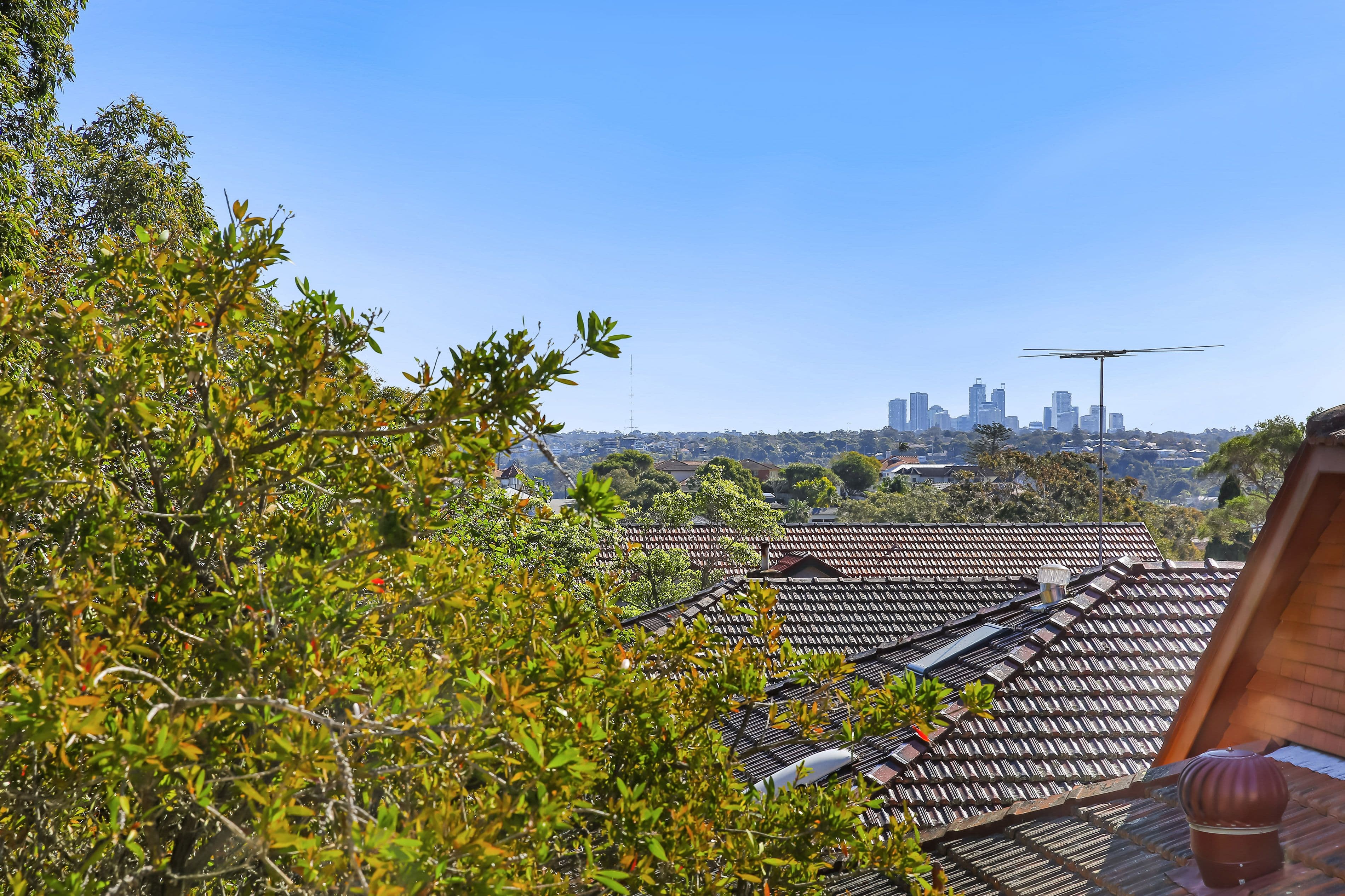 38A Awaba Street, Mosman NSW 2088, Mosman - Thumbnail 5