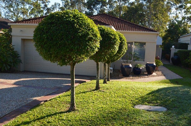 19 Dalloway Court, ARUNDEL QLD 4214, Arundel - Image 1
