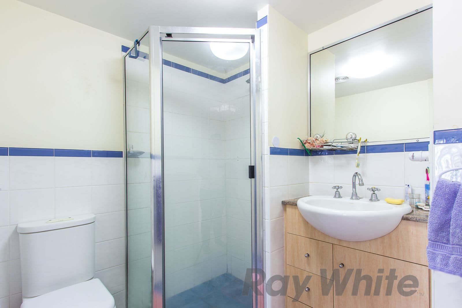 87 Hannell Street, Wickham NSW 2293, Wickham - Thumbnail 8