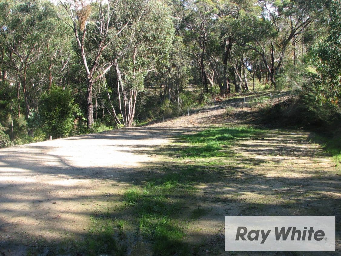 Lot 202 Norwood Road, Buxton NSW 2571, Buxton - Thumbnail 2