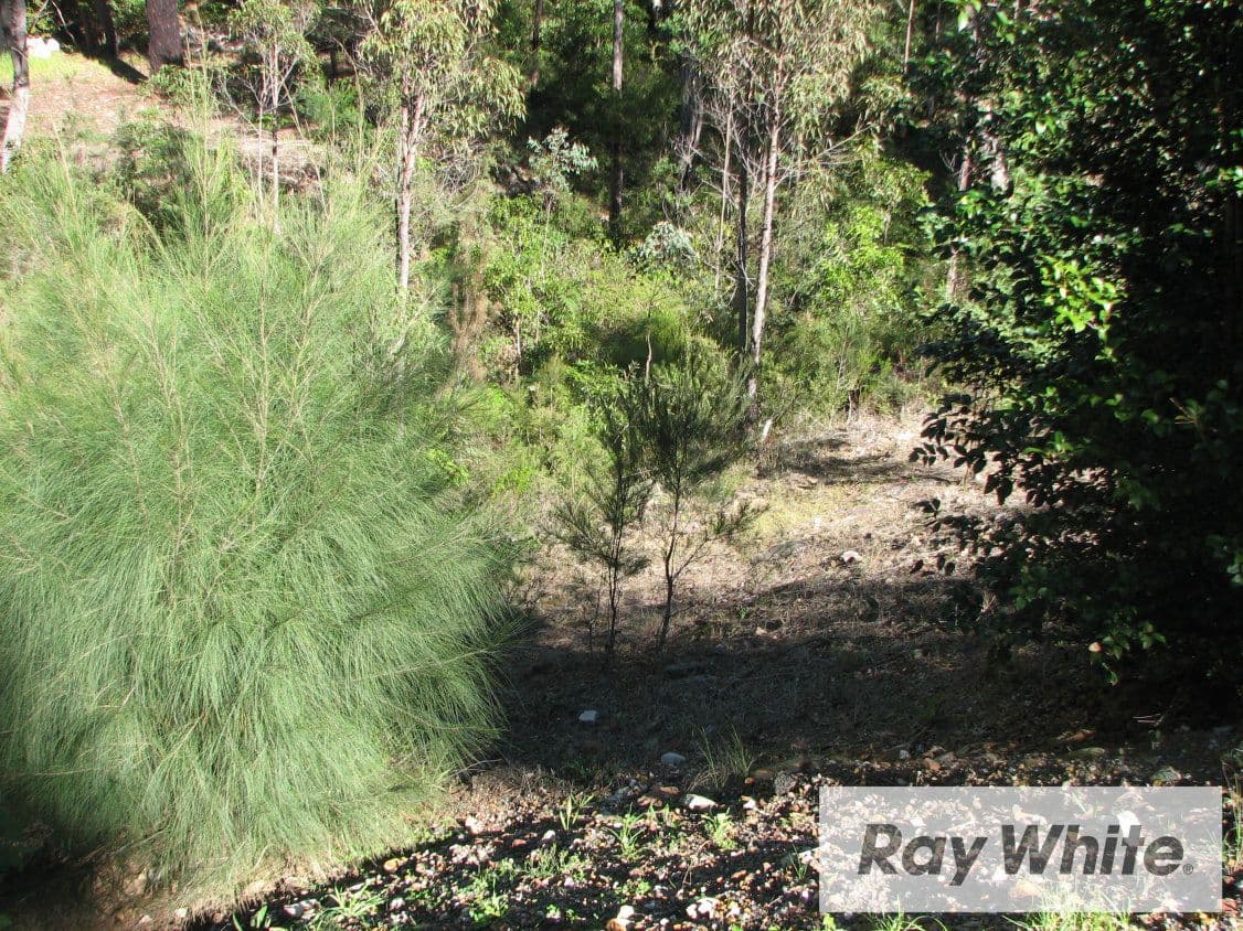 Lot 202 Norwood Road, Buxton NSW 2571, Buxton - Thumbnail 4
