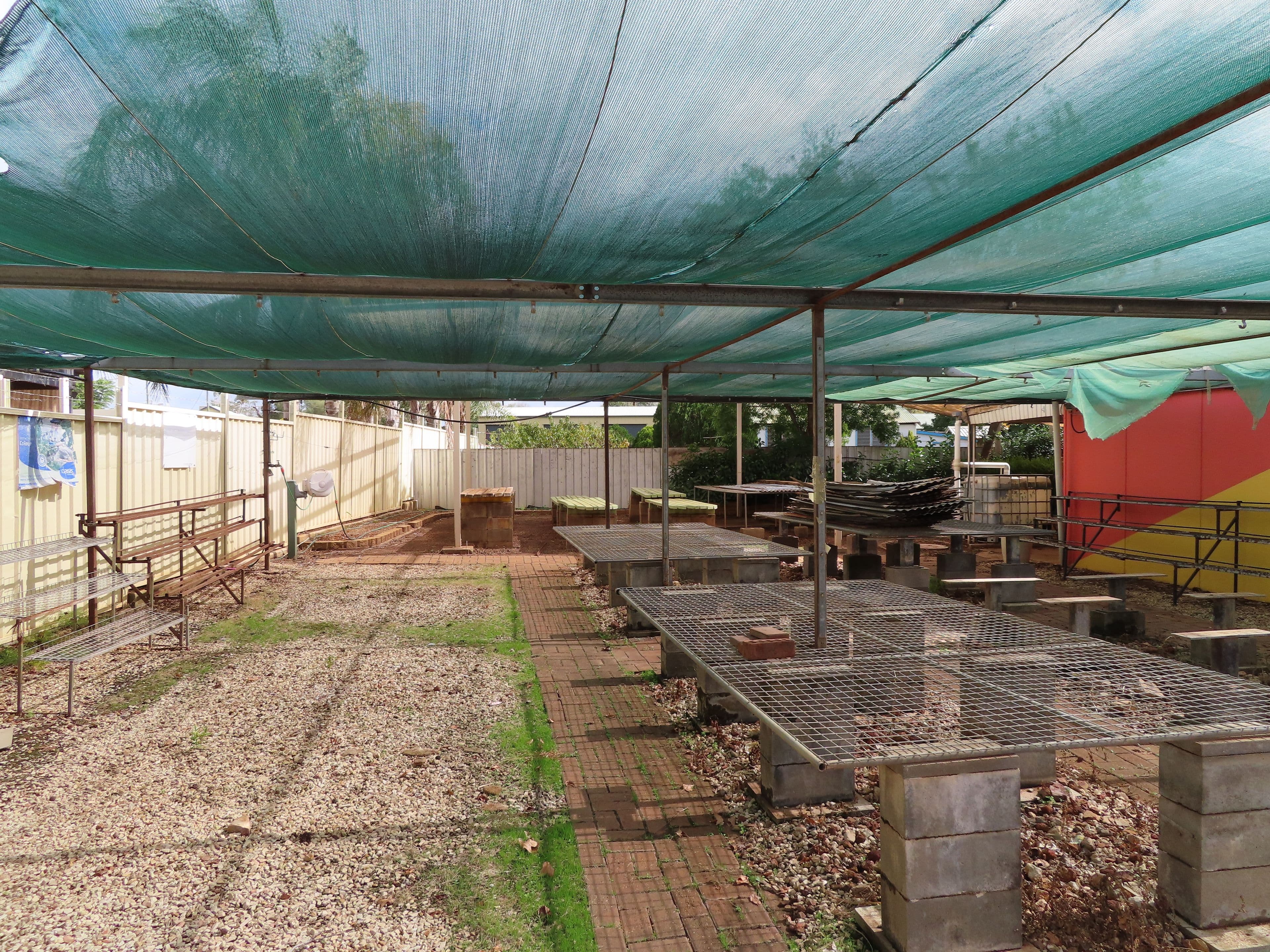 24 Innes Street, Condobolin NSW 2877, Condobolin - Thumbnail 5