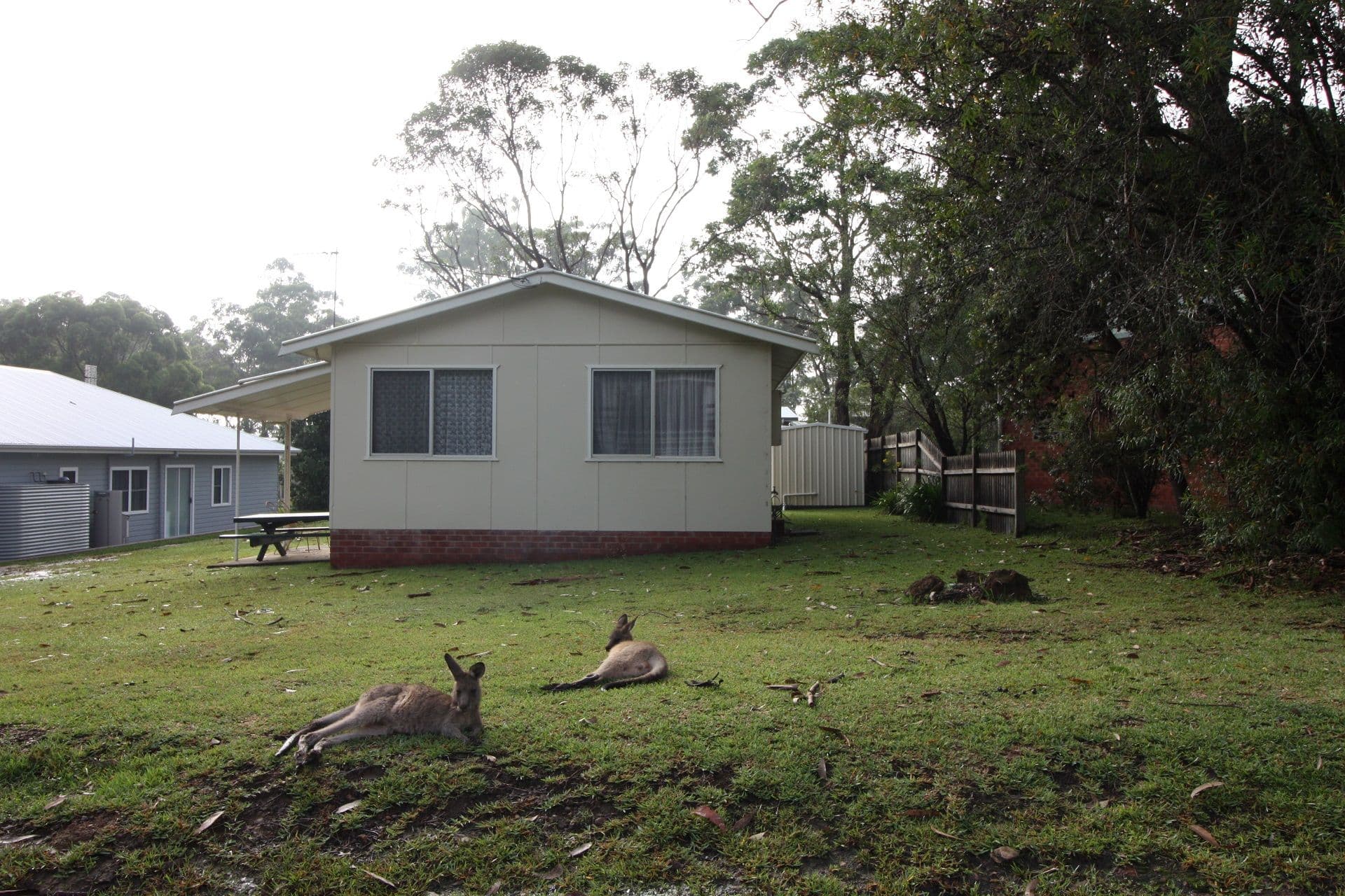 8 Pine Street, Bendalong - Image 1