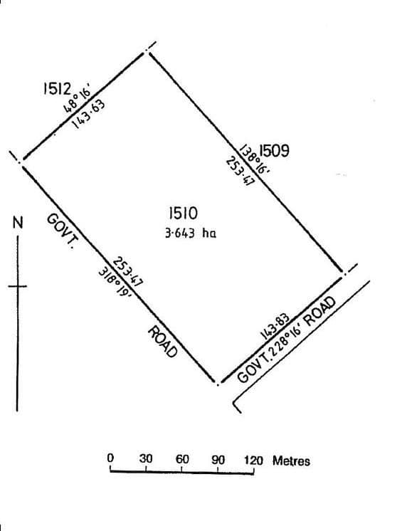 21 Napoleon Street, Rosebery - Thumbnail 2