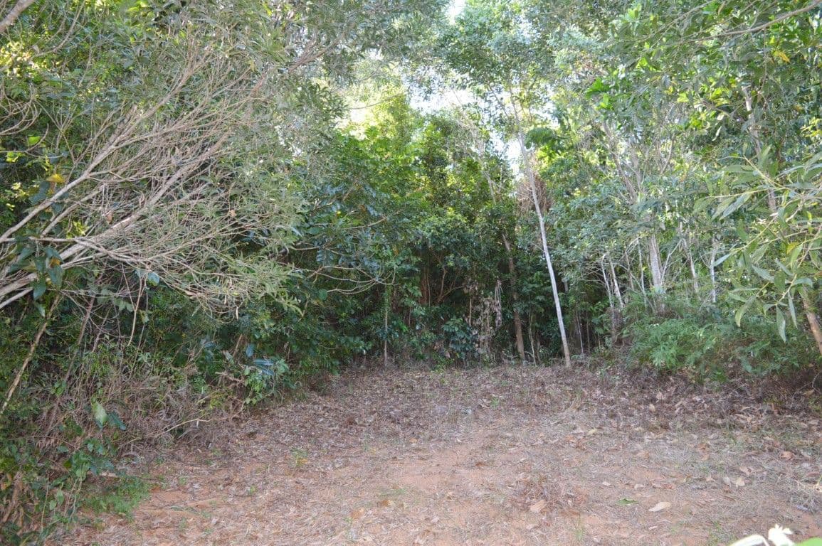 6 Bedarra Terrace, SOUTH MISSION QLD 4852, South Mission Beach - Thumbnail 5