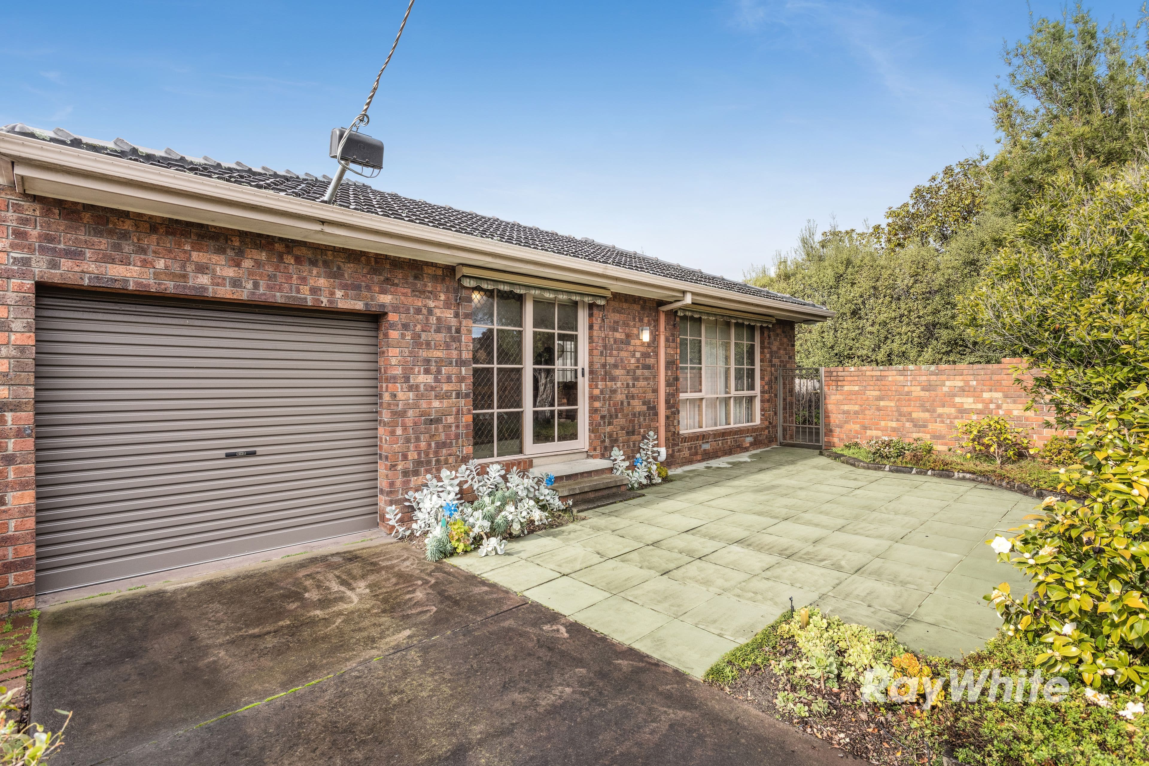 8 Marma Road, Murrumbeena VIC 3163, Murrumbeena - Thumbnail 2