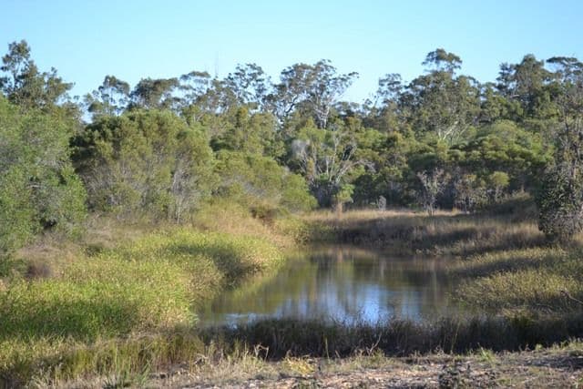 Lot 31 Tanby Post Office Road, Bondoola QLD 4703, Bondoola - Image 1