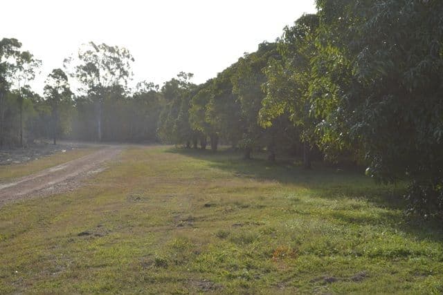 Lot 31 Tanby Post Office Road, Bondoola QLD 4703, Bondoola - Thumbnail 4