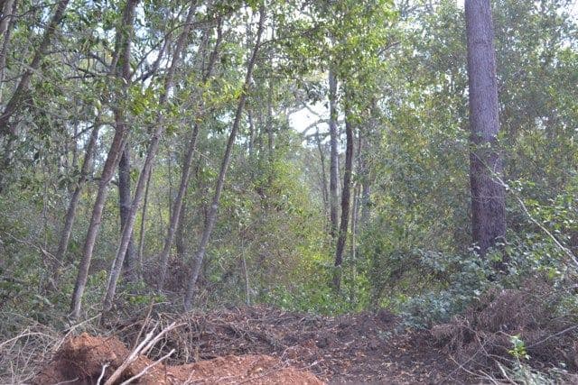 Lot 31 Tanby Post Office Road, Bondoola QLD 4703, Bondoola - Thumbnail 5