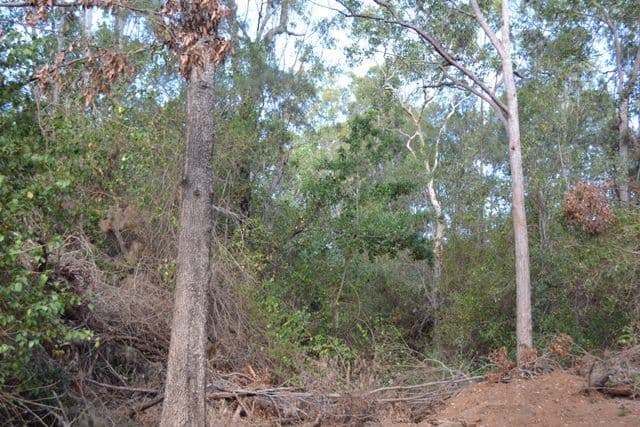 Lot 31 Tanby Post Office Road, Bondoola QLD 4703, Bondoola - Thumbnail 6