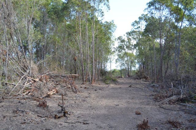 Lot 31 Tanby Post Office Road, Bondoola QLD 4703, Bondoola - Thumbnail 7