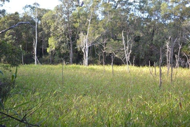 Lot 31 Tanby Post Office Road, Bondoola QLD 4703, Bondoola - Thumbnail 8