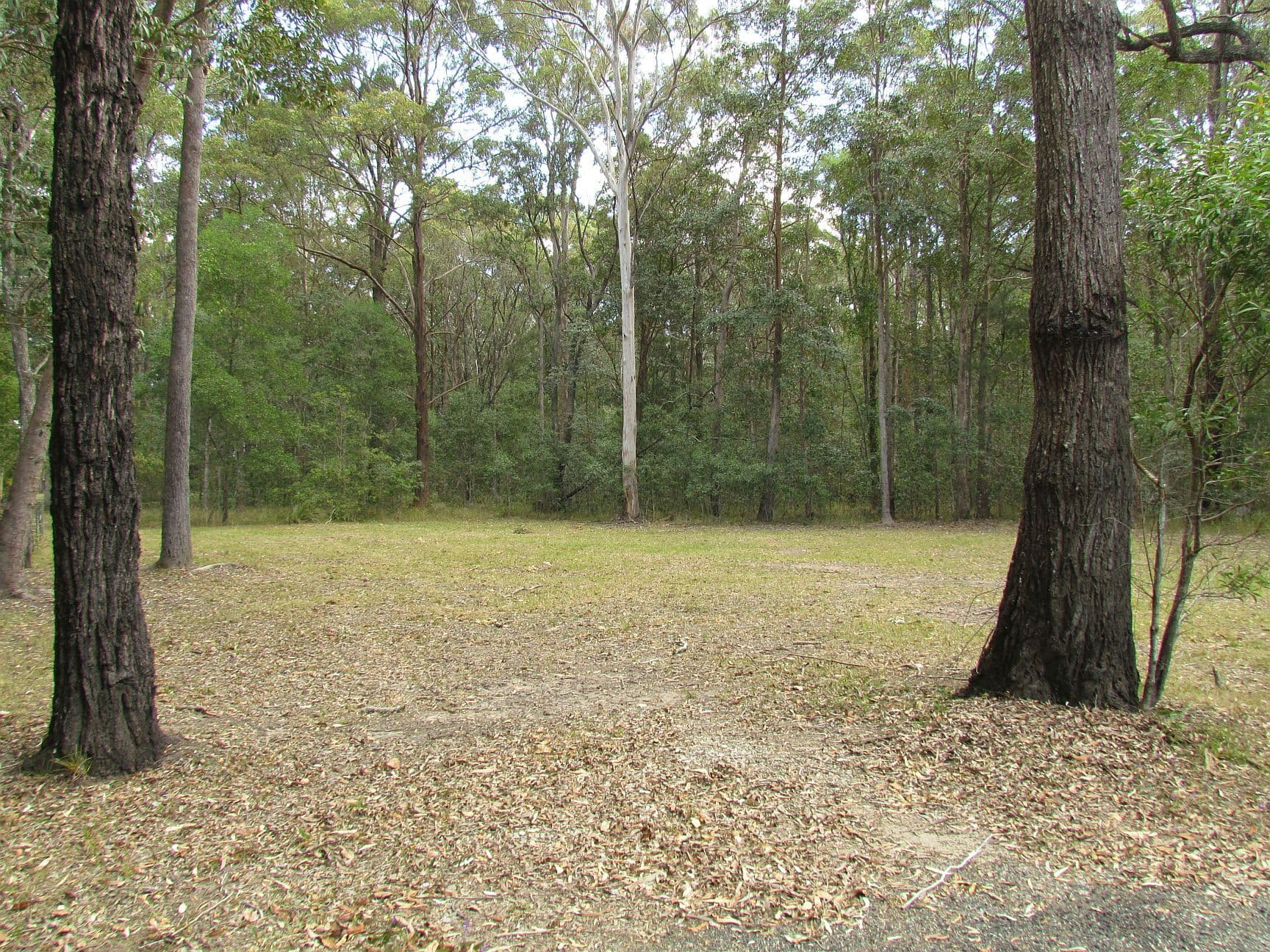 Lot 201 Emu Drive, Woombah NSW 2469, Woombah - Image 1
