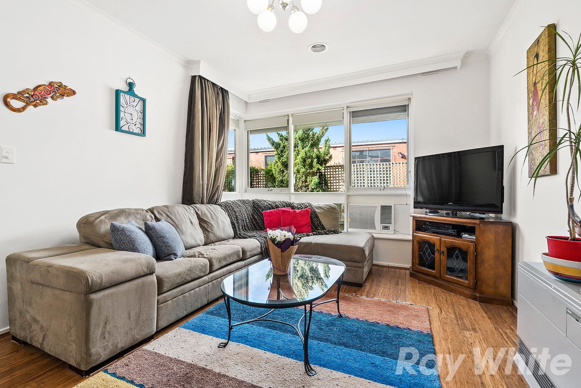 126 Argus Street, Cheltenham VIC 3192, Cheltenham - Thumbnail 3