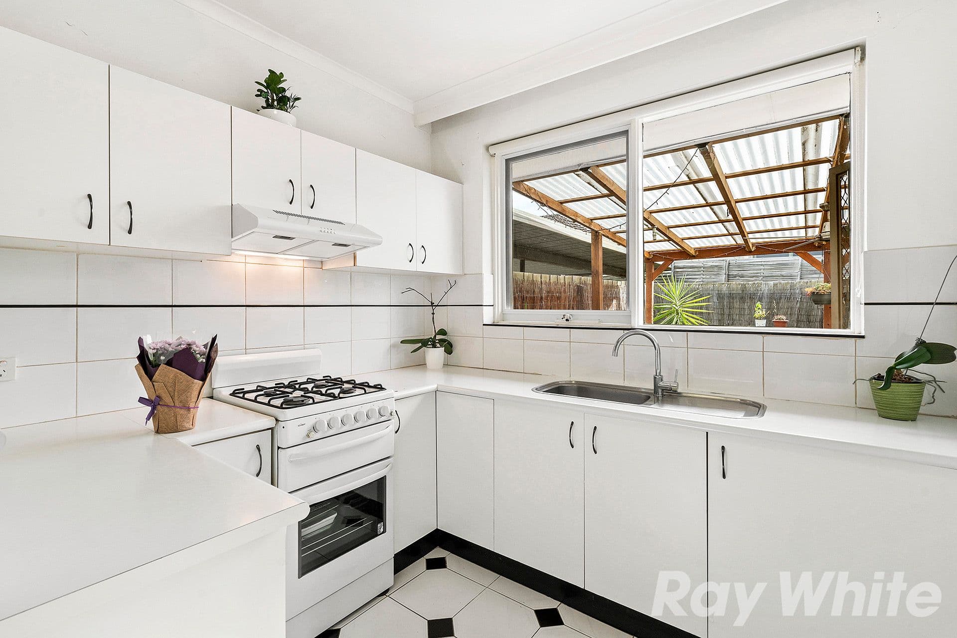 126 Argus Street, Cheltenham VIC 3192, Cheltenham - Thumbnail 4