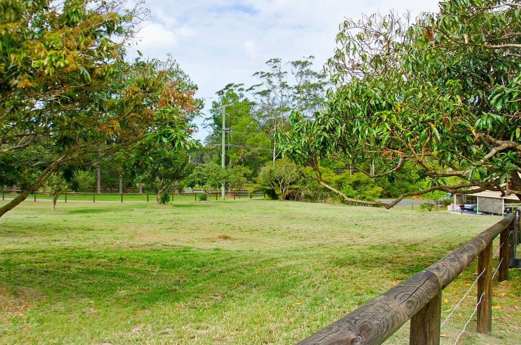 544 Tallebudgera Creek Road, TALLEBUDGERA VALLEY QLD 4228, Tallebudgera Valley - Thumbnail 4
