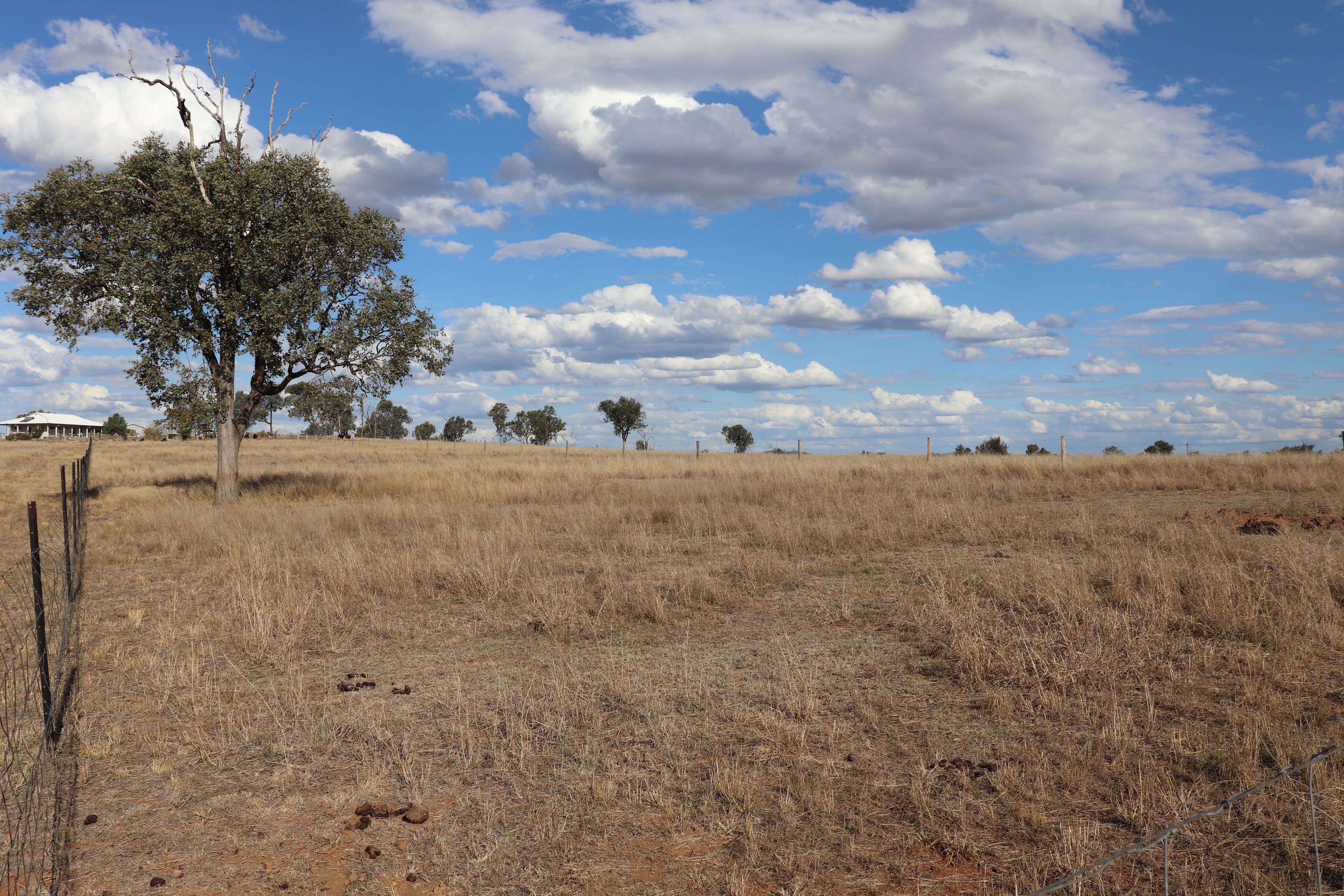 Lot 20 Frank McCauley Street, Mundubbera QLD 4626, Mundubbera - Thumbnail 4