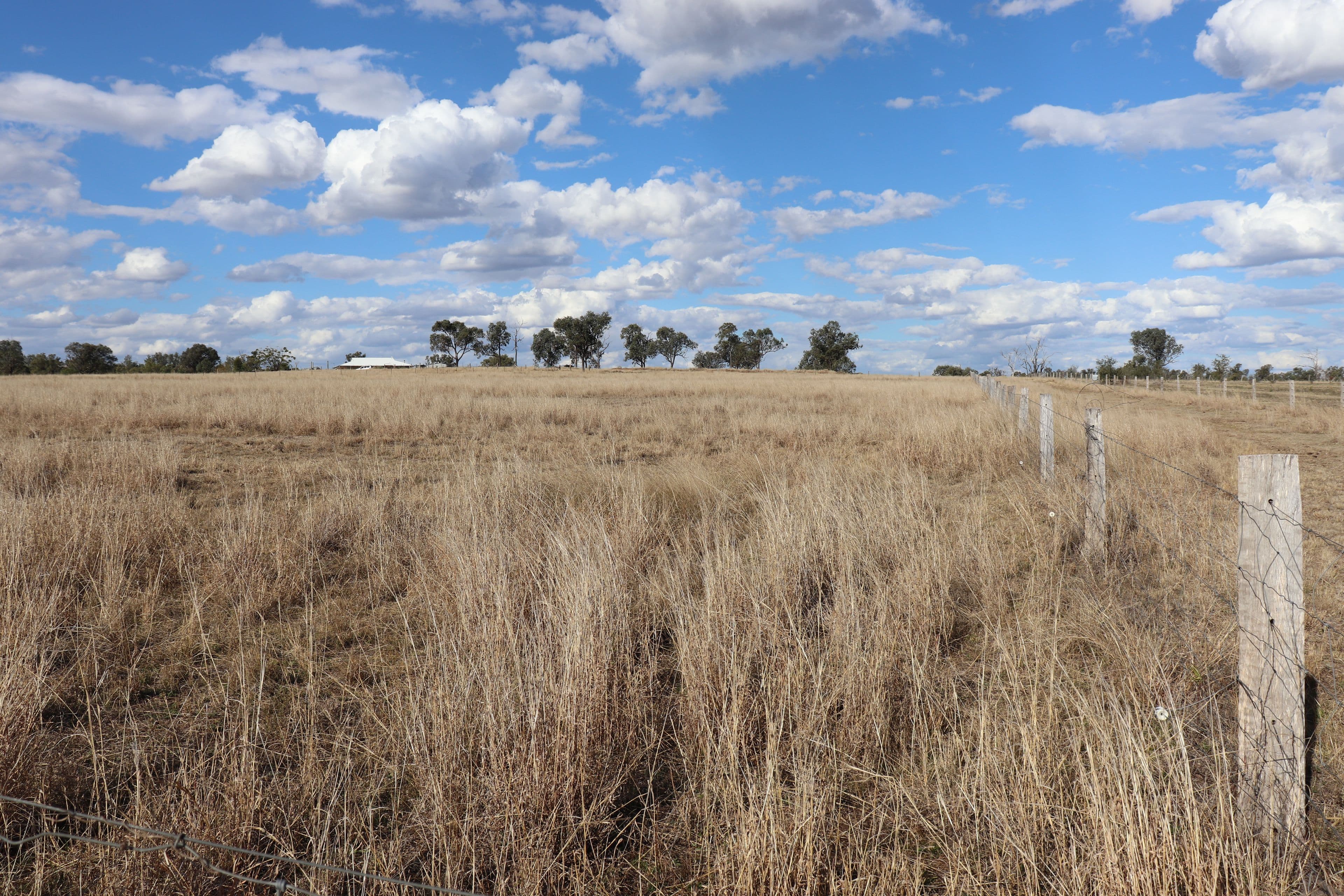 Lot 20 Frank McCauley Street, Mundubbera QLD 4626, Mundubbera - Thumbnail 6