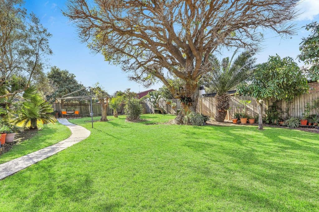 31 Barton Avenue, Haberfield - Thumbnail 6
