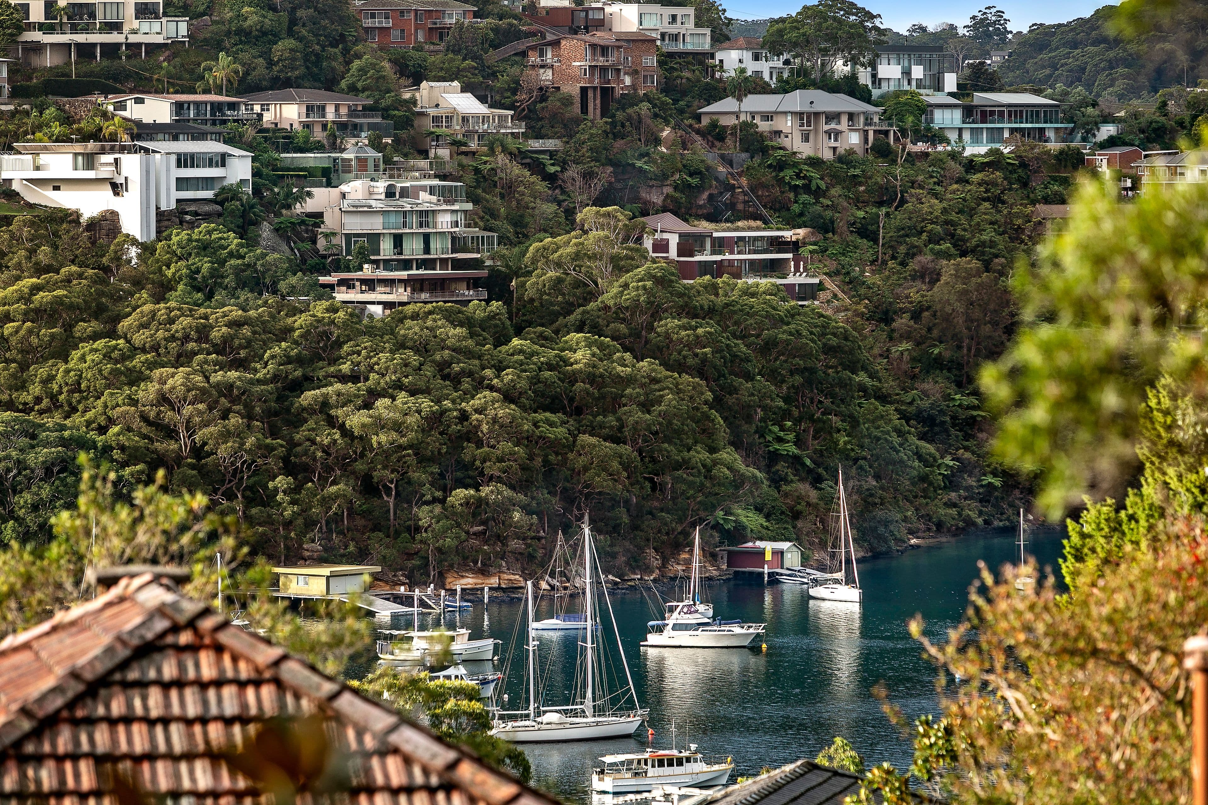 97 Kameruka Road, Northbridge - Thumbnail 7