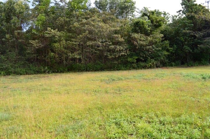 Lot 3 Campbell Terrace, SOUTH MISSION QLD 4852, South Mission Beach - Thumbnail 2