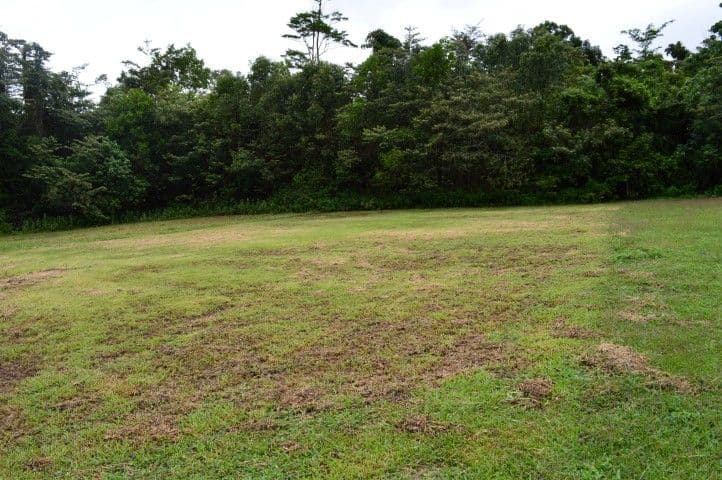 Lot 3 Campbell Terrace, SOUTH MISSION QLD 4852, South Mission Beach - Thumbnail 4