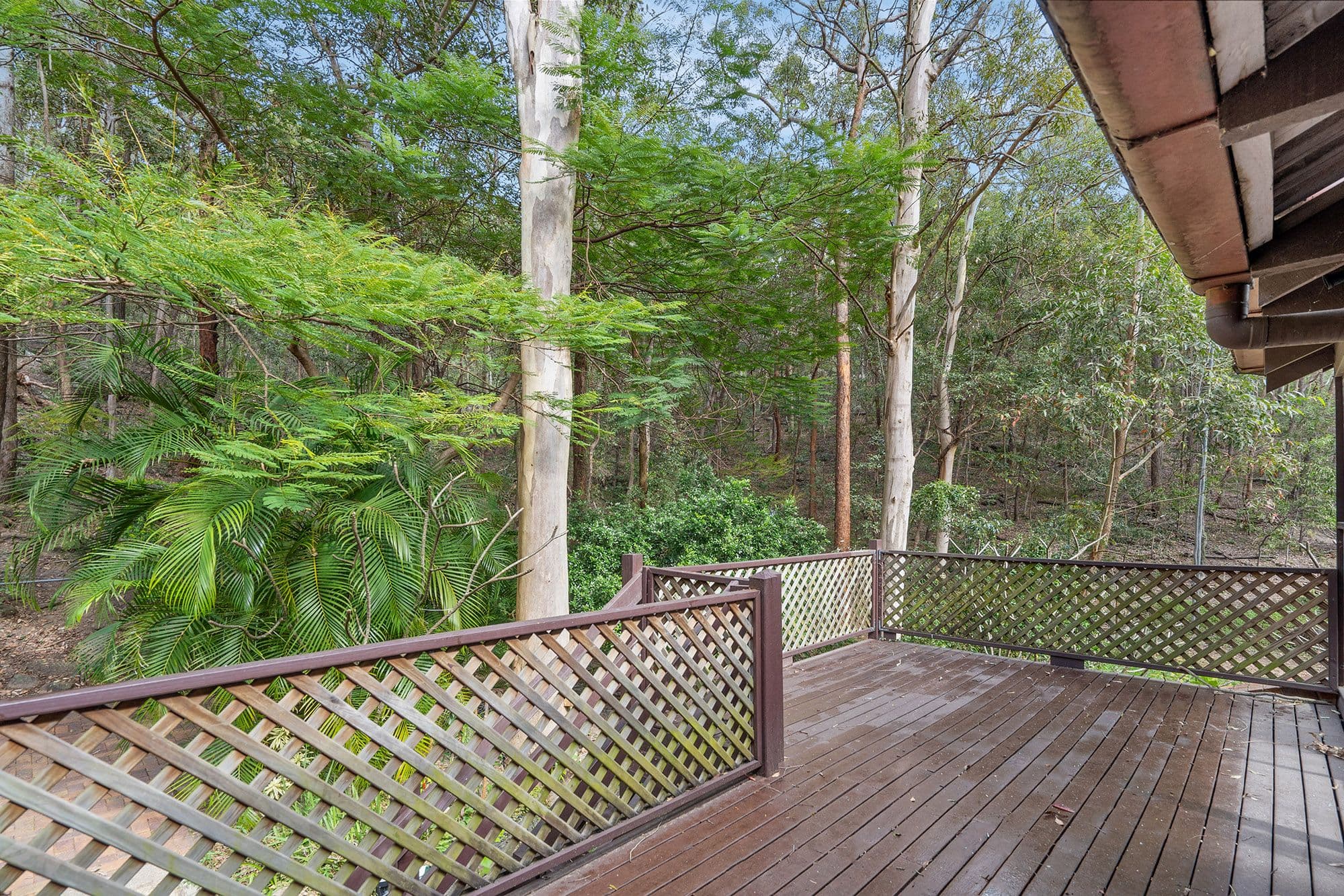 25 Barnehurst Street, Tarragindi QLD 4121, Tarragindi - Thumbnail 8