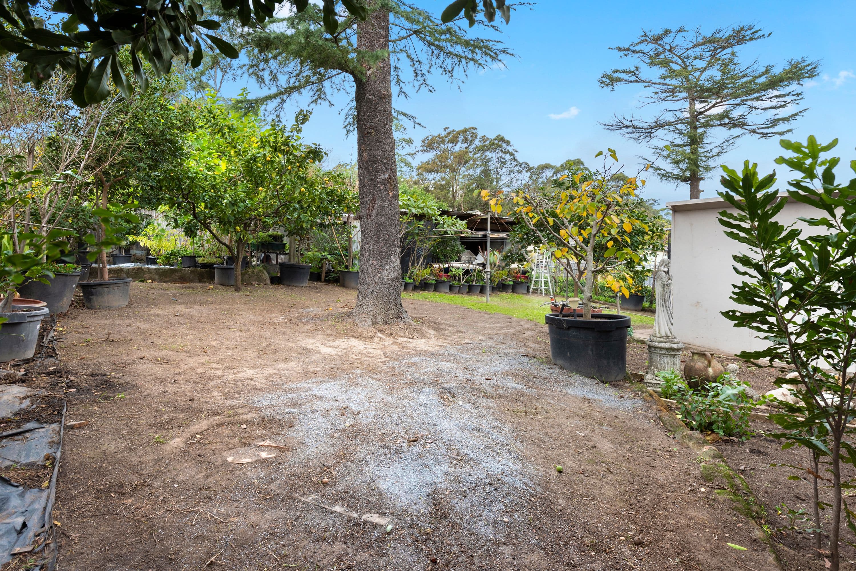 19 Hewitt Avenue, Wahroonga - Thumbnail 5