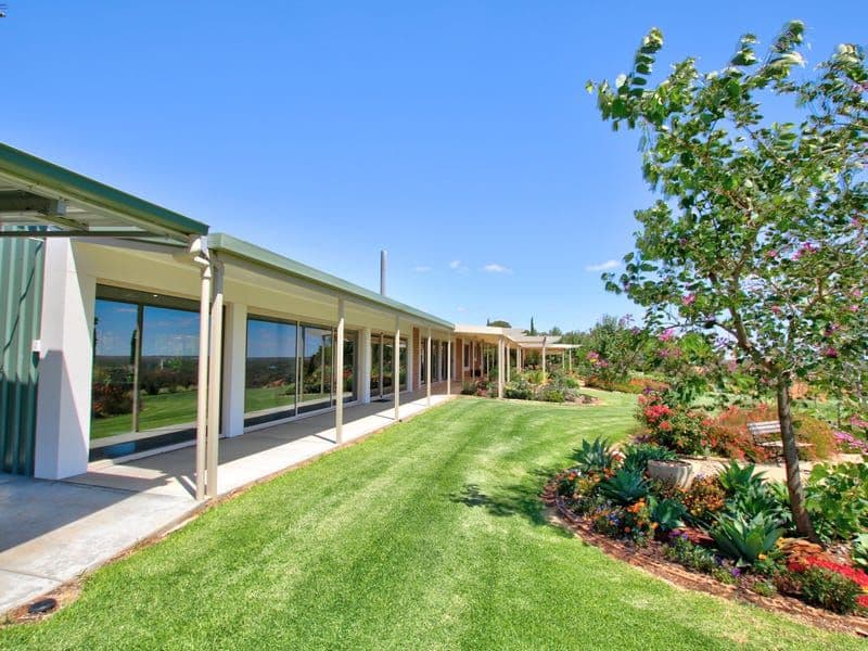 172 Pike Creek Road, Lyrup SA 5343, Lyrup - Thumbnail 3