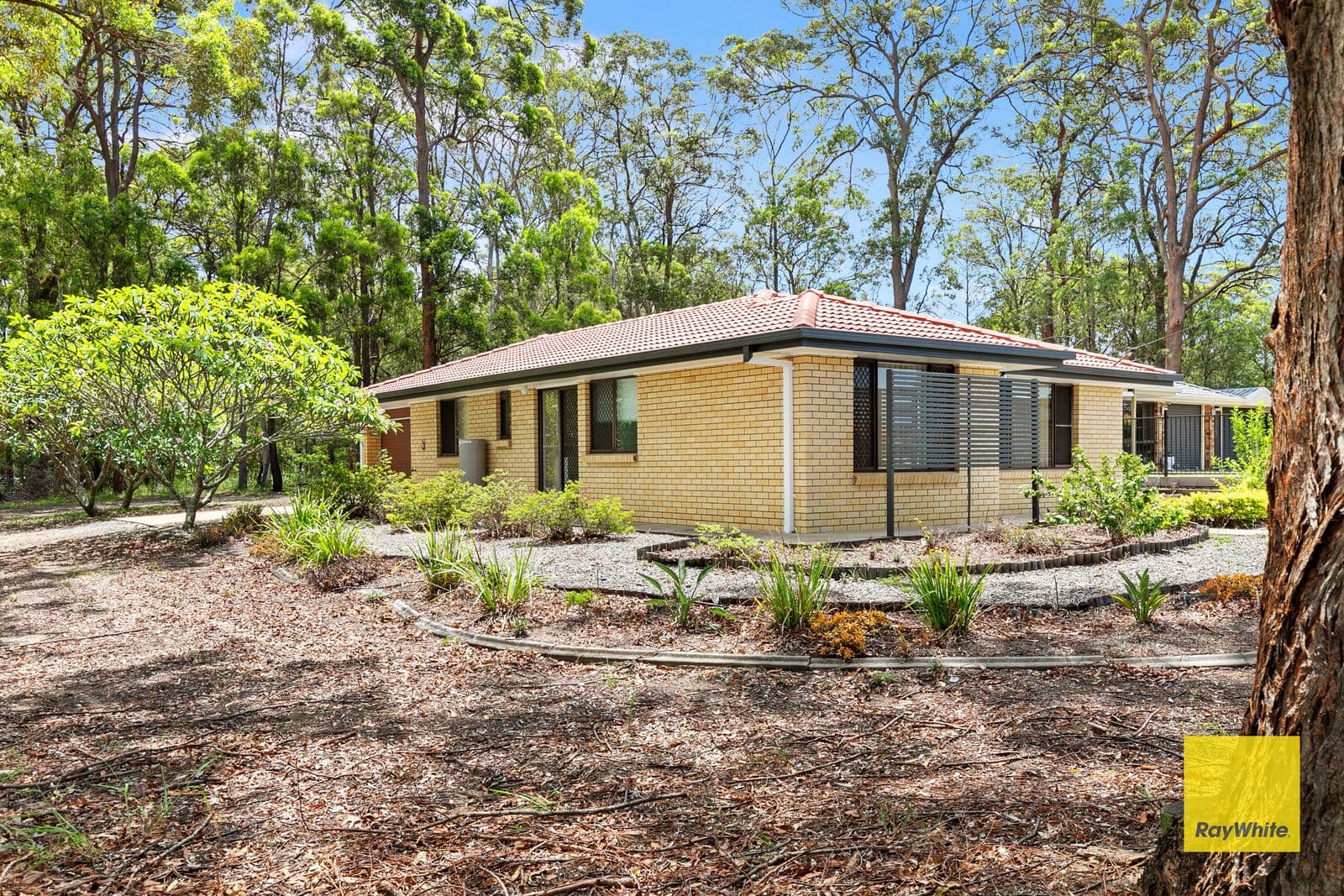 39 Ney Road, Capalaba QLD 4157, Capalaba - Thumbnail 7