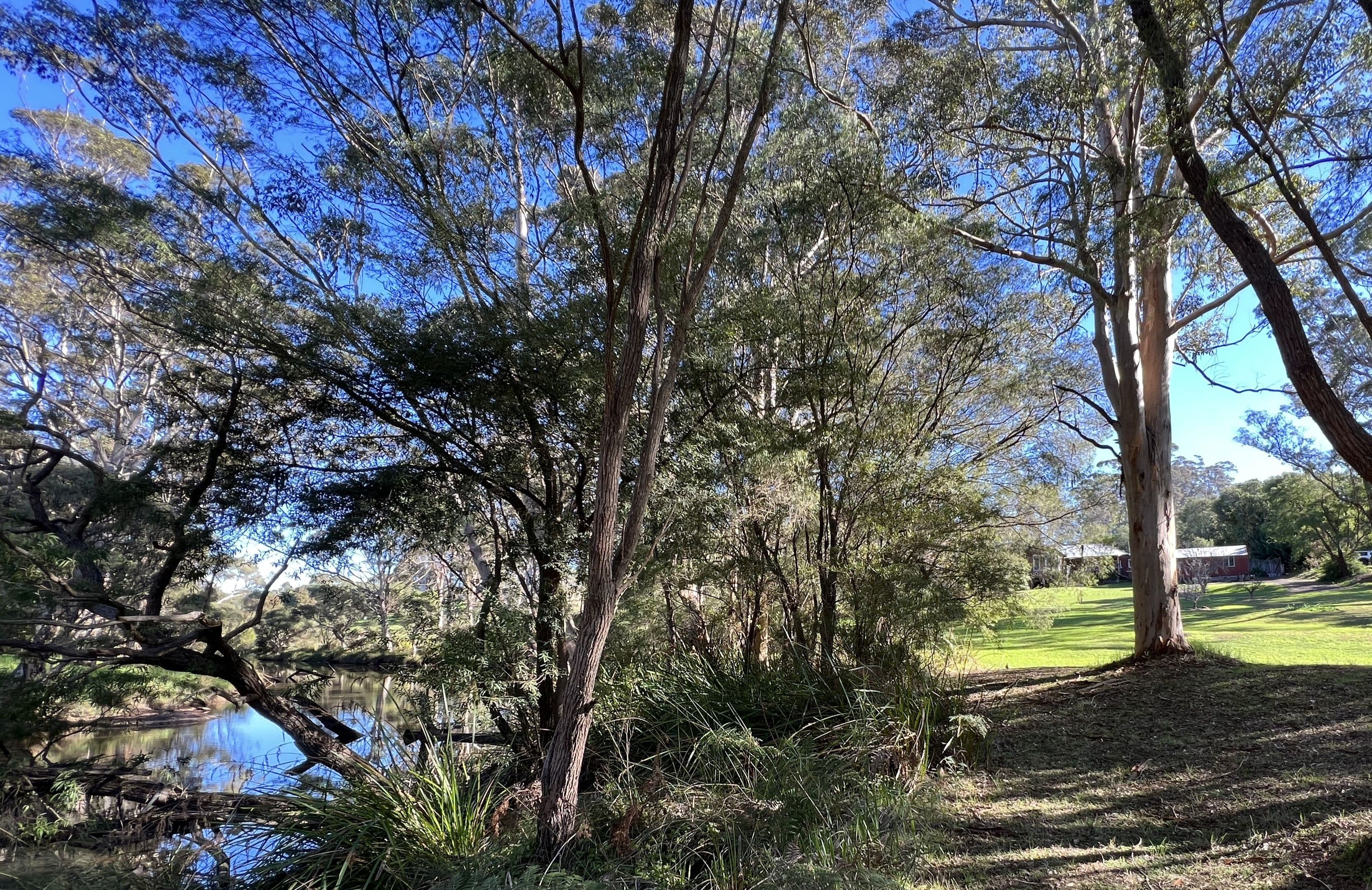 92 Scotsdale Road, Denmark WA 6333, Denmark - Image 1