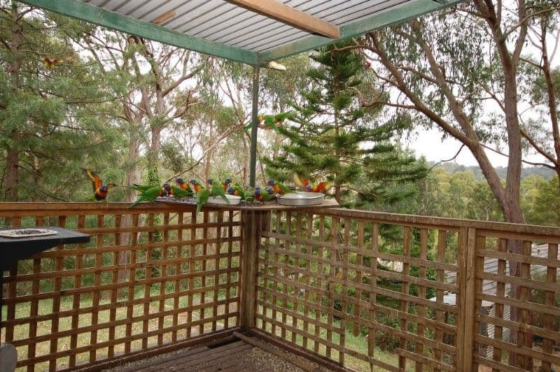 29 Currajong Avenue, MOUNT EVELYN VIC 3796, Mount Evelyn - Thumbnail 4