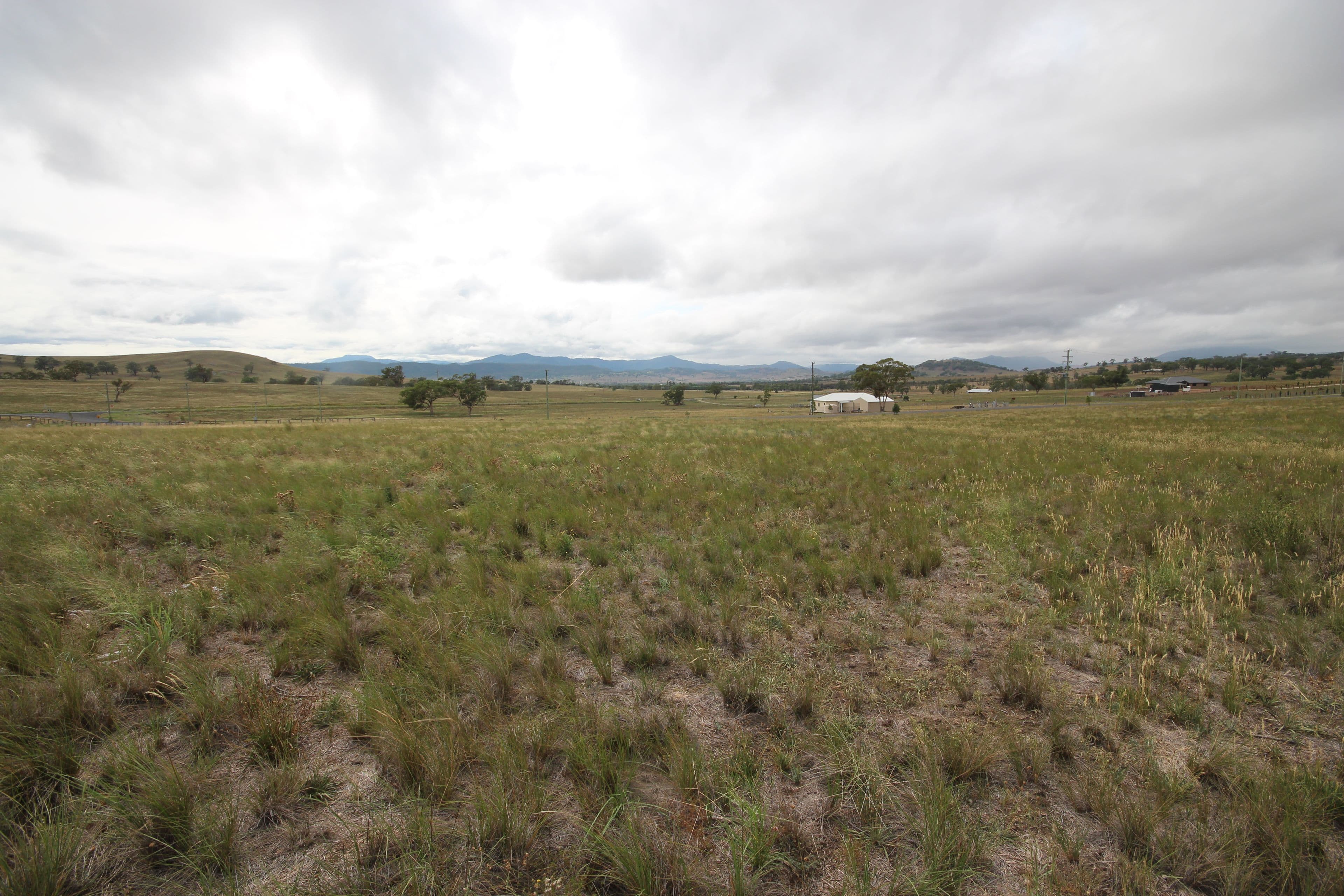 4. Bakewell Circuit, Scone NSW 2337, Scone - Thumbnail 3