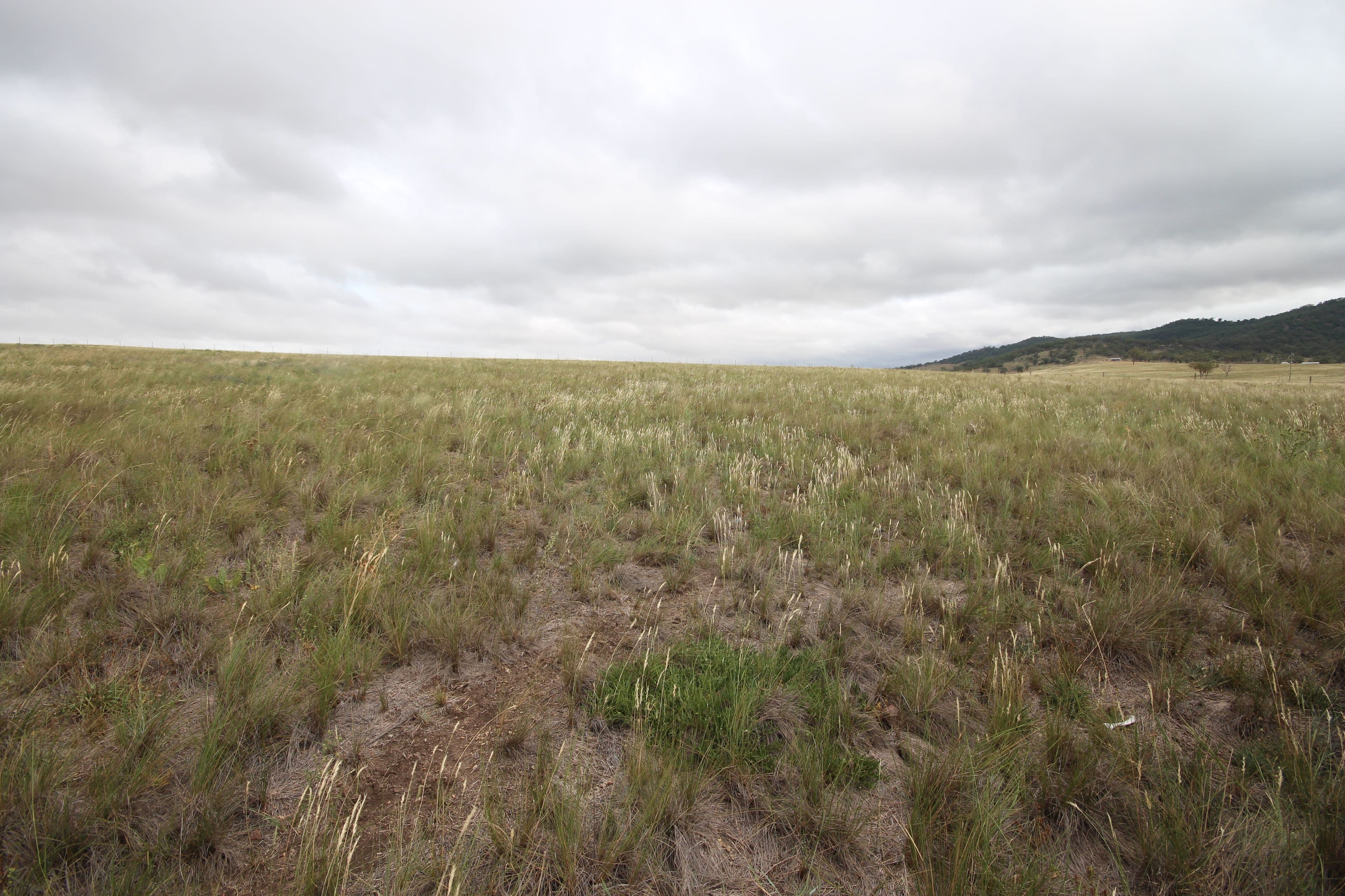 4. Bakewell Circuit, Scone NSW 2337, Scone - Thumbnail 4