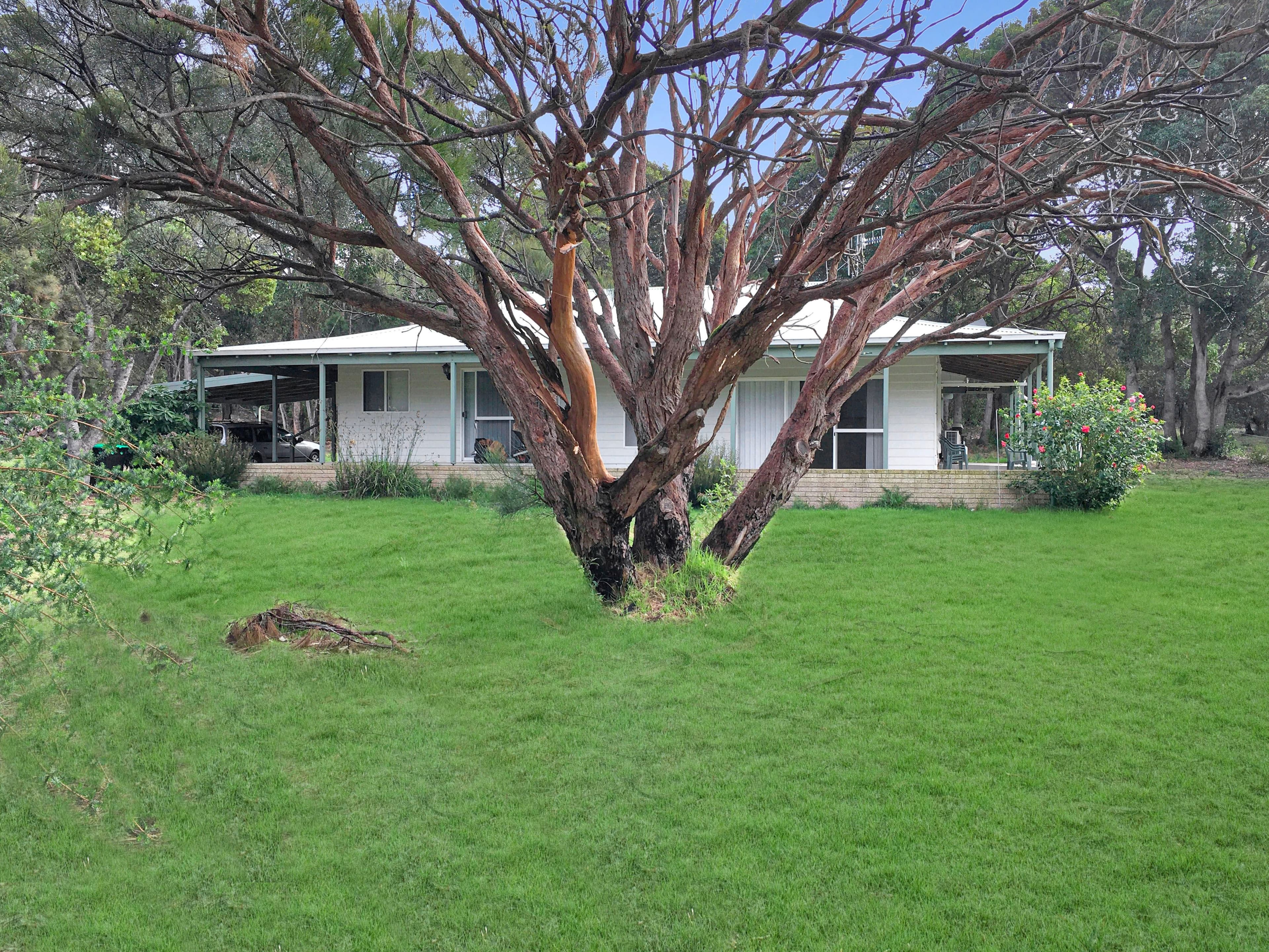 84 Symers Street, Little Grove WA 6330, Little Grove - Image 1